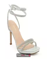 Silver Shimmer